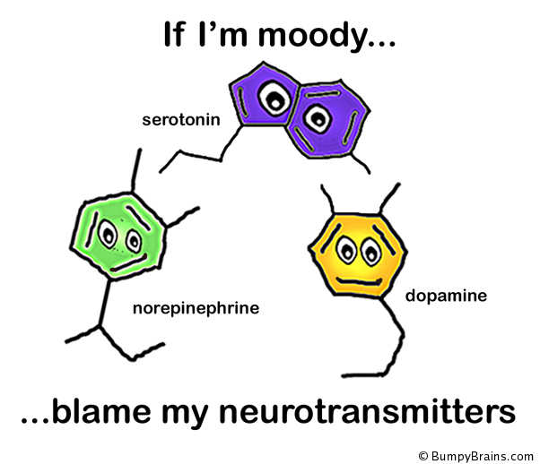If I'm moody, blame my neurotransmitters