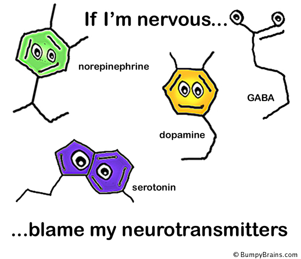 If I'm nervous, blame my neurotransmitters