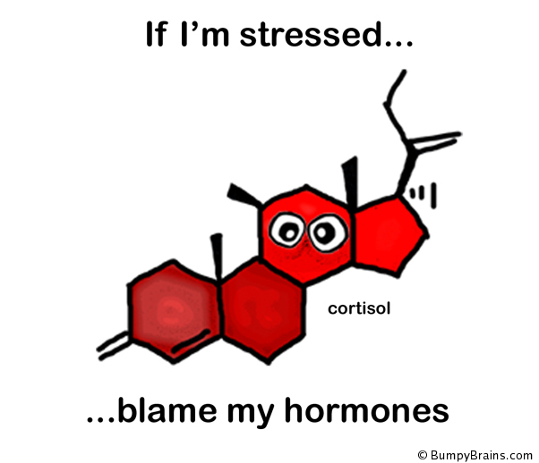 If I'm stressed, blame my hormones