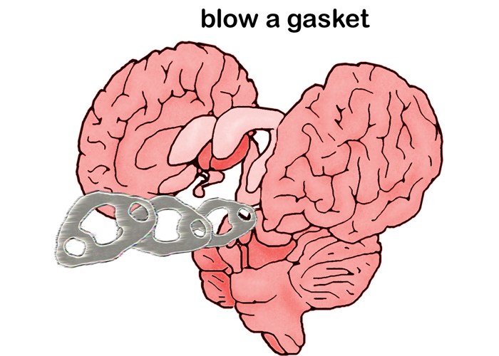 Blow a Gasket