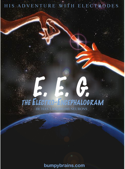 E.E.G.: The Electroencephalogram