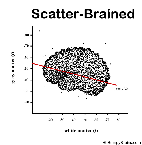 Scatter-Brained