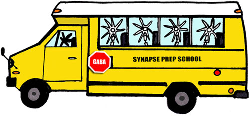 Bus