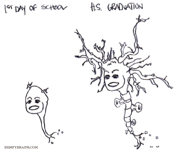 Dendrite Growth