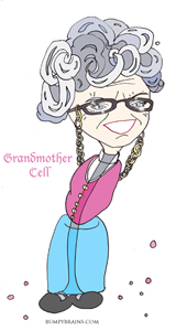 Neuron Grandma