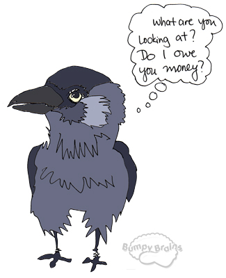 Bird Gaze