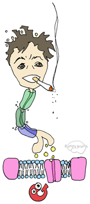 Smokin g