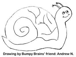 Zoo Snail