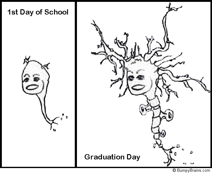 Before & After School
