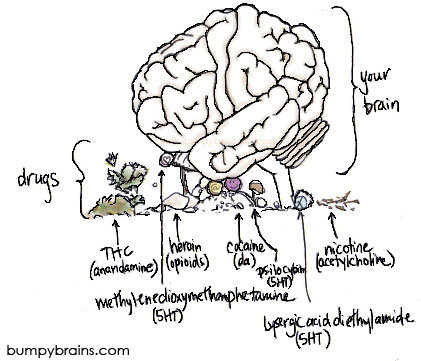 Your Brain On Drugs