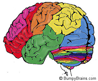 Rainbow Brain