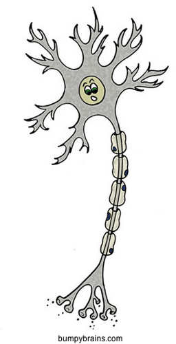 Nestor the Neuron