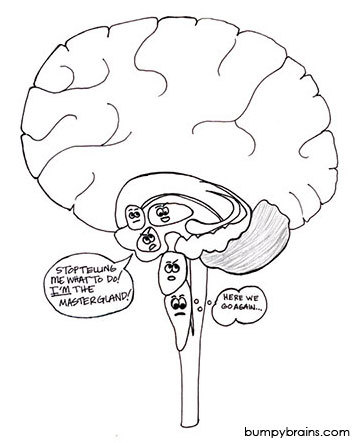 Master Gland