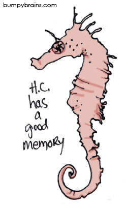 Hippocampus