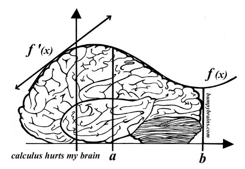Calculus Hurts My Brain