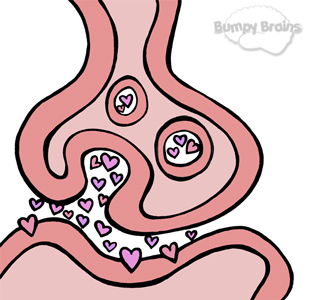 Heart Neurotransmitters