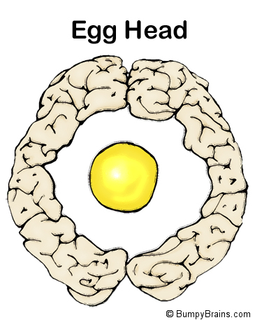 Egg Head
