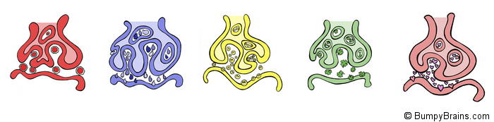 Neurotransmitters