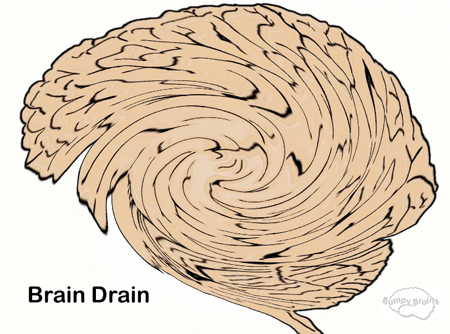 Brain Drain