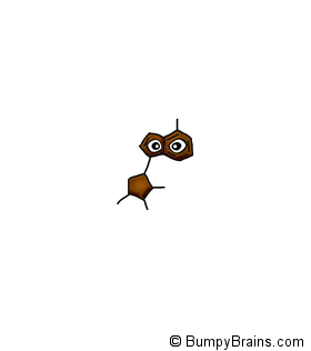 Adenosine