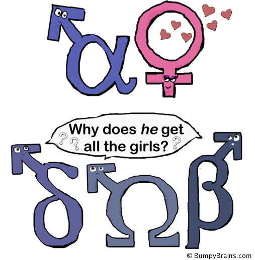 Alpha Male