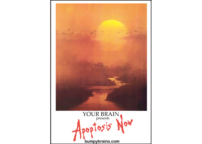 Apoptosis Now