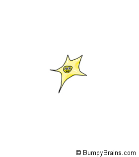 Astrocyte