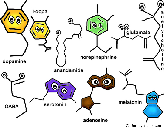 Neurotransmitters