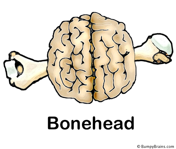 Bonehead