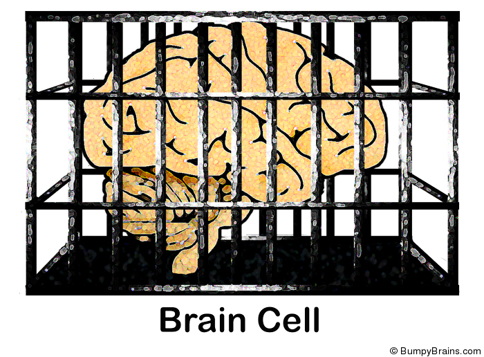 Brain Cell