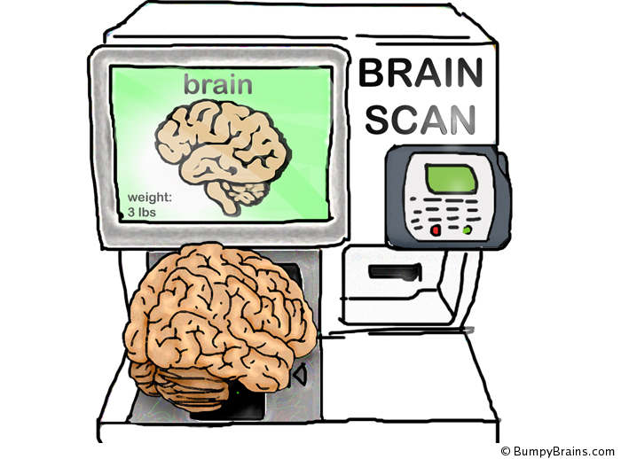 Brain Scan