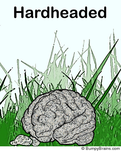 Hardheaded