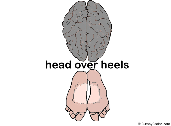 Head Over Heels