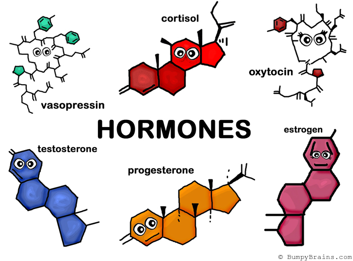 Hormones