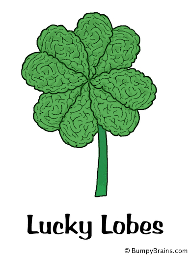 Lucky Lobes