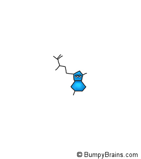 Melatonin