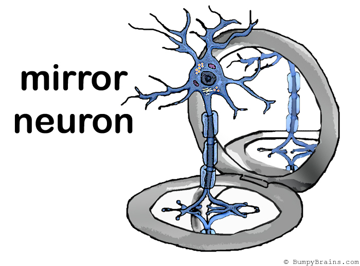 Mirror Neuron