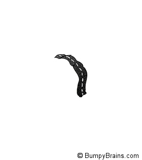 Motor Strip