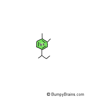 Norepinephrine