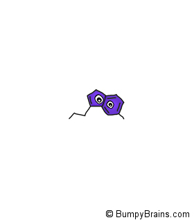Serotonin