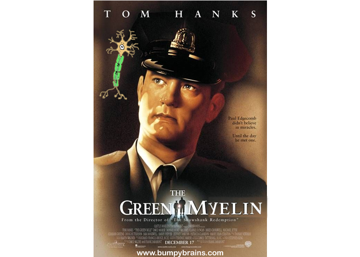 The Green Myelin