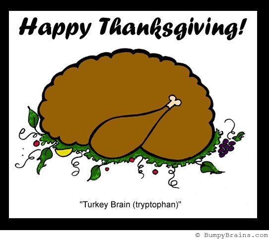 Turkey Brain