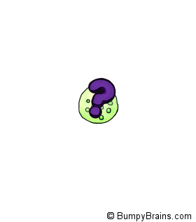 Mystery Vesicle