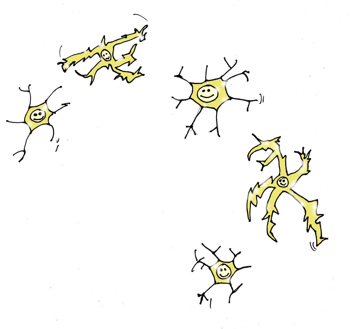 Glial Cells 1