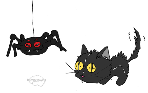 Cat Scared