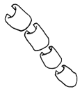 Vinny's Myelin Sheath