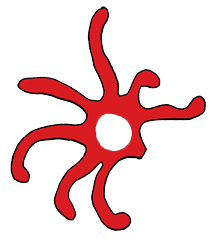 Vinny's Dendrites